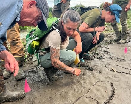 A group of people examine an animal track in the mud (Photo © Fox Paw School)