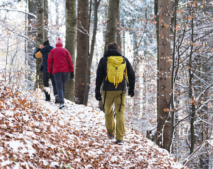 Three adults hiking in winter woods (Photo © Alexandrazaza via Envato)