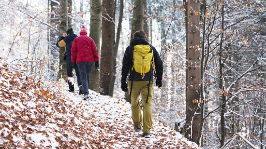 Three adults hiking in winter woods (Photo © Alexandrazaza via Envato)