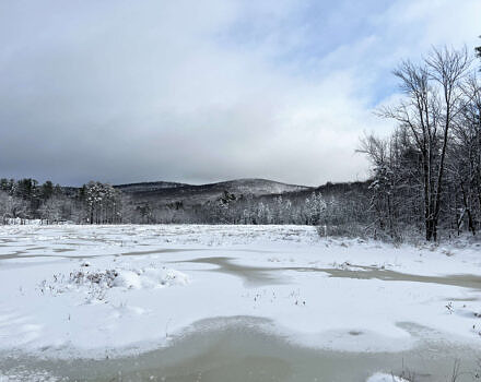 A view of a snowy wetland and Osgood Hill after a winter storm. (photo © Brett Amy Thelen)