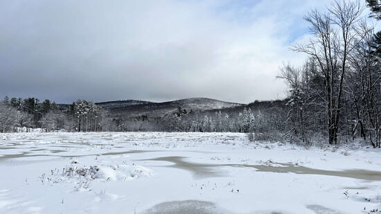 A view of a snowy wetland and Osgood Hill after a winter storm. (photo © Brett Amy Thelen)