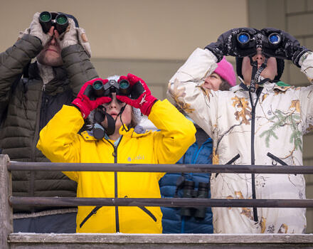 Steven Lamonde and members of the Young Birders Club look through binoculars at the Harris Center. (photo © Ben Conant)