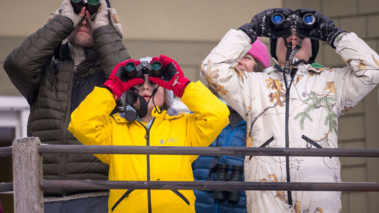 Steven Lamonde and members of the Young Birders Club look through binoculars at the Harris Center. (photo © Ben Conant)